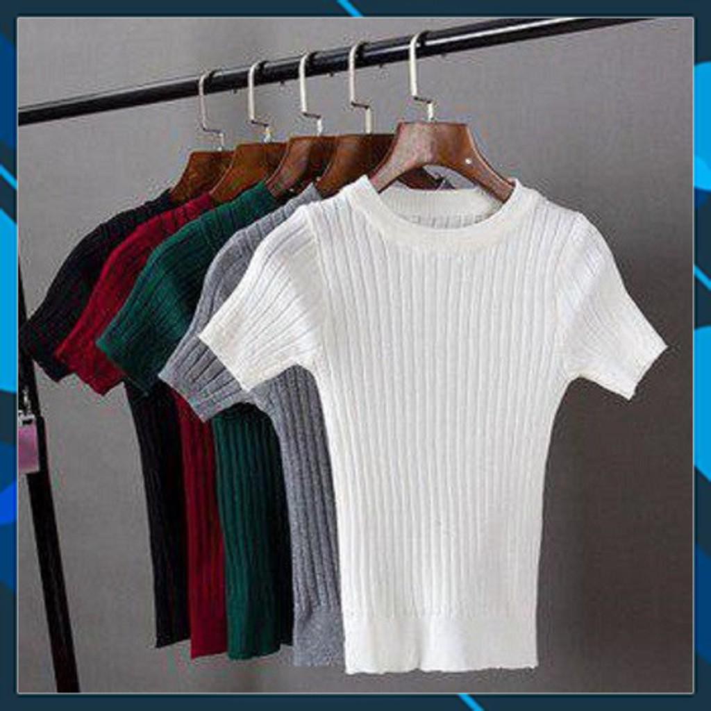 11431B1 Áo thun gân tay ngắn cổ tròn, freesize dưới 53kg tùy chiều cao, kiểu croptop