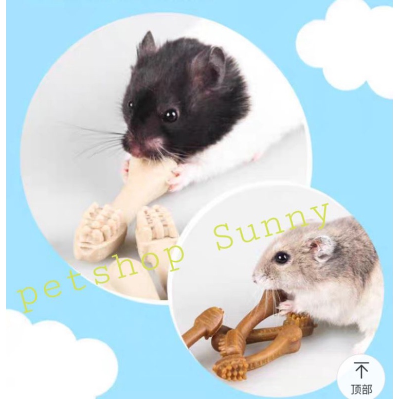 Bàn chải mài răng Jonsanty dành cho hamster