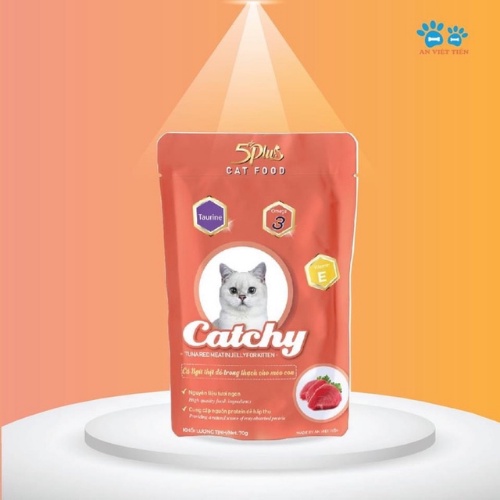 Pate Catchy 5plus dành cho mèo cưng dạng gói 70g nhiều vị hàng việt nam chất lượng cao