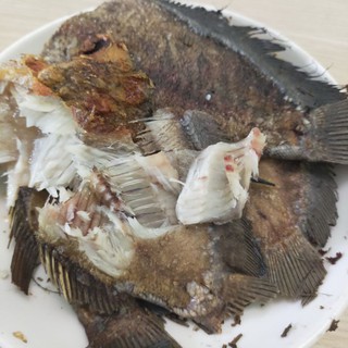 Khô sặc bổi