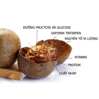 La Hán Quả 100g