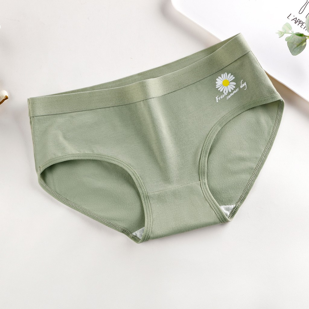 Quần Lót Cotton Kháng Khuẩn Họa Tiết Hoa Cúc Nhỏ Phong Cách Nhật Bản Thời Trang Mùa Hè Cho Nữ | BigBuy360 - bigbuy360.vn