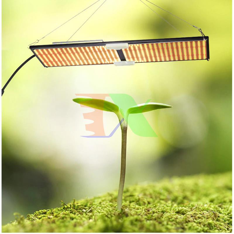 Đèn trồng cây Lượng tử QBS2000, Led grow lights chip Samsung 2000W, Đèn trồng rau trong nhà