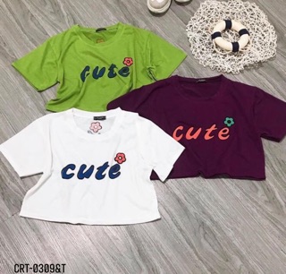 Áo crt cute - T