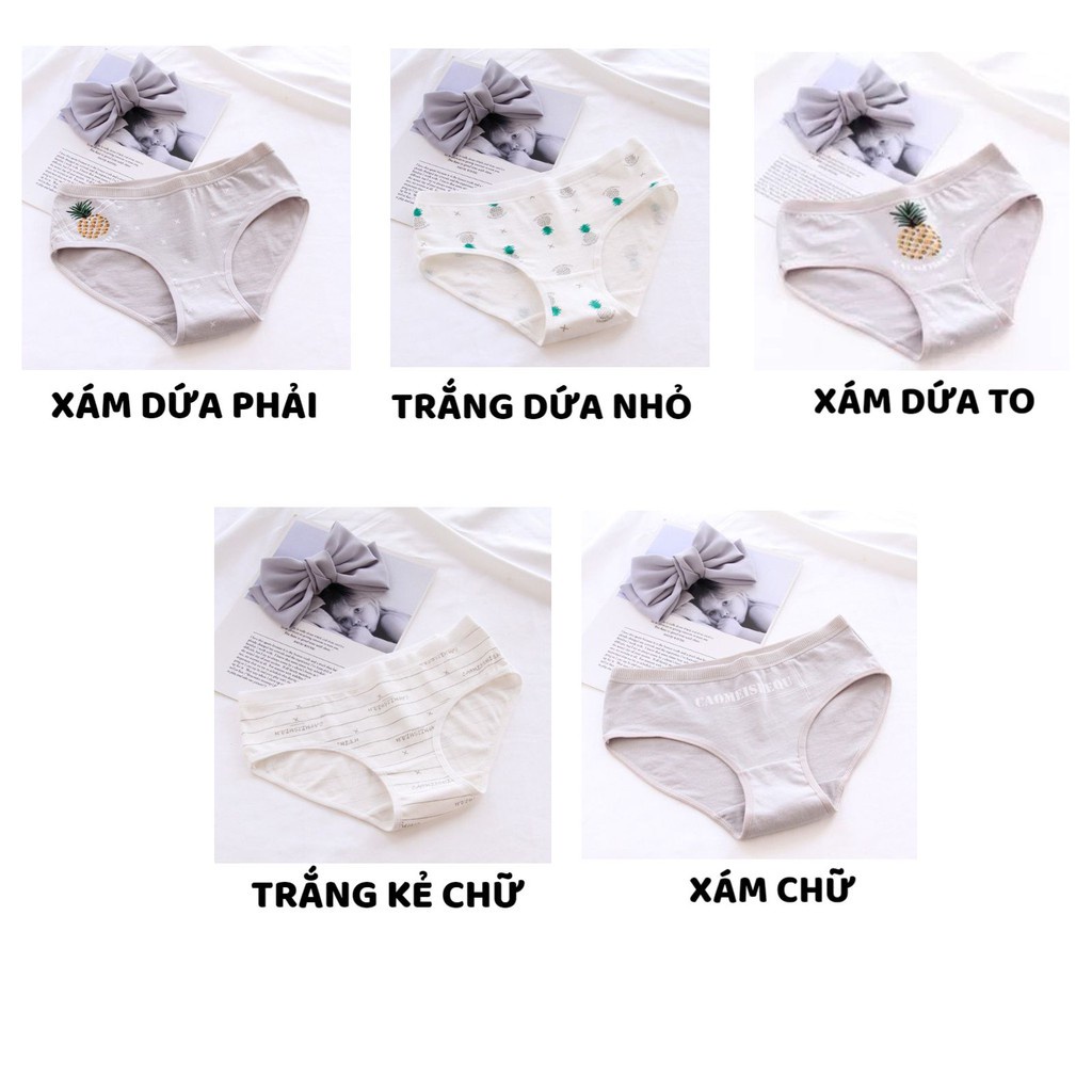 Quần Lót Nữ - Quần Lót Nữ Cotton họa tiết hình quả dứa điệu đà tôn dáng sexy quyến rũ DAN STORE MÃ A002