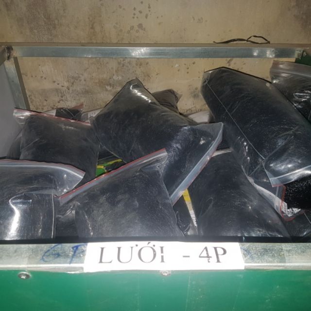 60m lưới bẫy chim tổng hợp mắt 4 phân bẫy chim sẻ, chào mào, cu tiểu, cao 6m 5 dây 4 túi đã nhuộm màu đen tàng hình