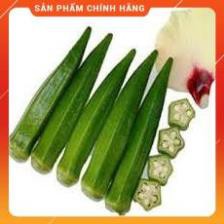Hạt giống đậu bắp xanh F1 Ấn Độ 10GR