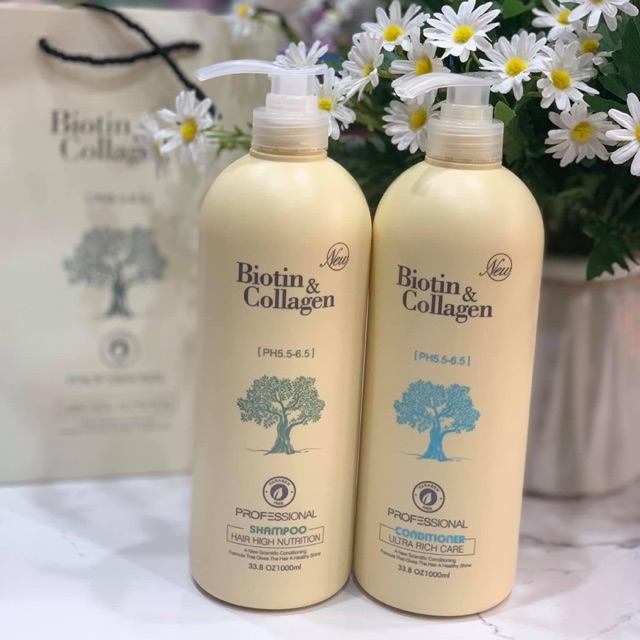 Cặp dầu gội biotin & collagen