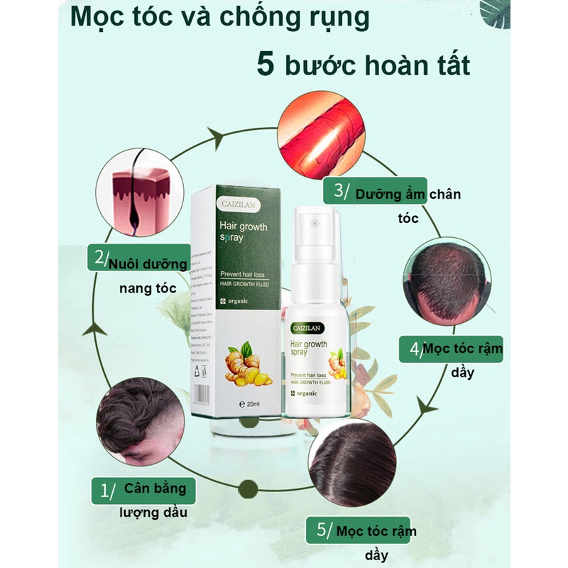 Xịt kích thích mọc tóc Ginger King chống rụng tóc tinh chất hà thủ ô Xịt  Tinh chất thảo dược chống rụng và làm đen tóc dưỡng tóc từ chân đến ngọn dầy tóc