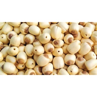 Hạt sen Huế thương -1kg/túi