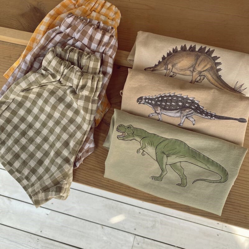 Bộ mặc nhà cotton hình khủng long siêu xinh cho bé trai , bé gái