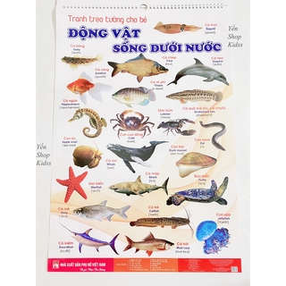 Bộ Tranh Treo Tường Cho Bé