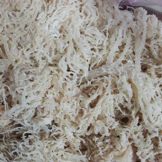 [ LOẠI A ] 500g rong sụn nấu thạch rau câu, làm gỏi...