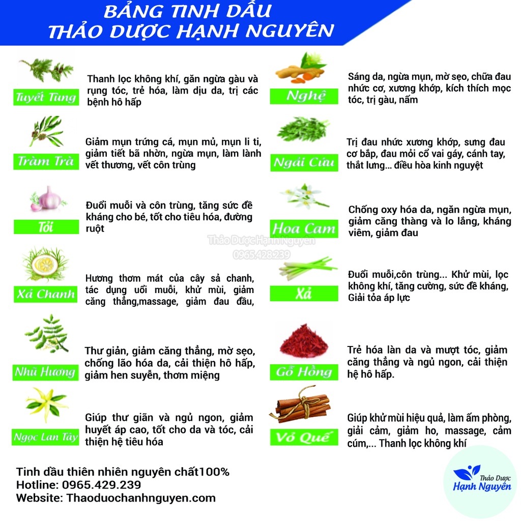 Tinh dầu Quế nguyên chất 20ml, thơm phòng, đuổi côn trùng, khử mùi hôi - Thảo dược Hạnh Nguyên