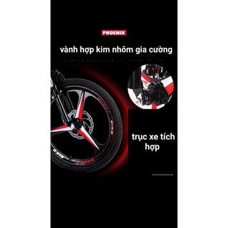 Xe đạp gấp gọn Phoenix Basic