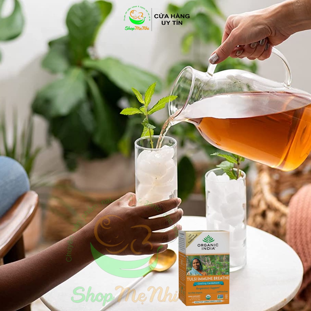 Trà Tulsi Ấn Độ thảo mộc hữu cơ tăng cường sức khỏe hệ hô hấp và giảm căng thẳng.