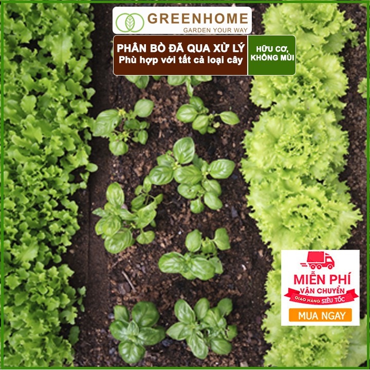 Phân bò Lavamix, bao 3dm3, đã qua xử lý, không mùi hôi, hữu cơ tiện lợi |Greenhome