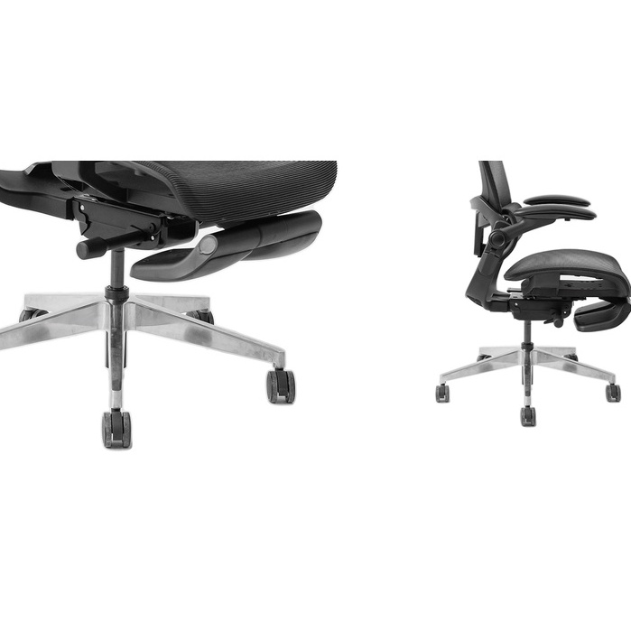 Ghế công thái học EPIONE EASY CHAIR SE V2  Hàng chính hãng