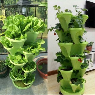Dung dịch thủy canh pha 30 lít