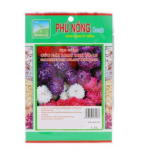 Hạt giống hoa cúc đài loan Phú Nông (PN132537) - 0.5g