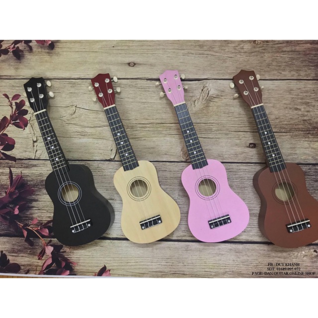 ĐÀN UKULELE GIÁ SỈ