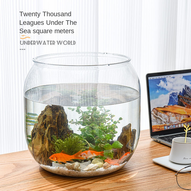 Bể Cá Bằng Nhựa Trong Suốt Dùng Trang Trí Phòng Khách