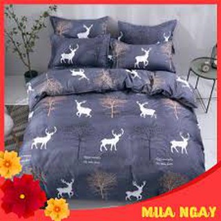 Chăn hè ga gối 5 món cotton poly hưu trắng
