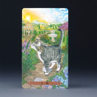 Bộ bài mystical cat tarot