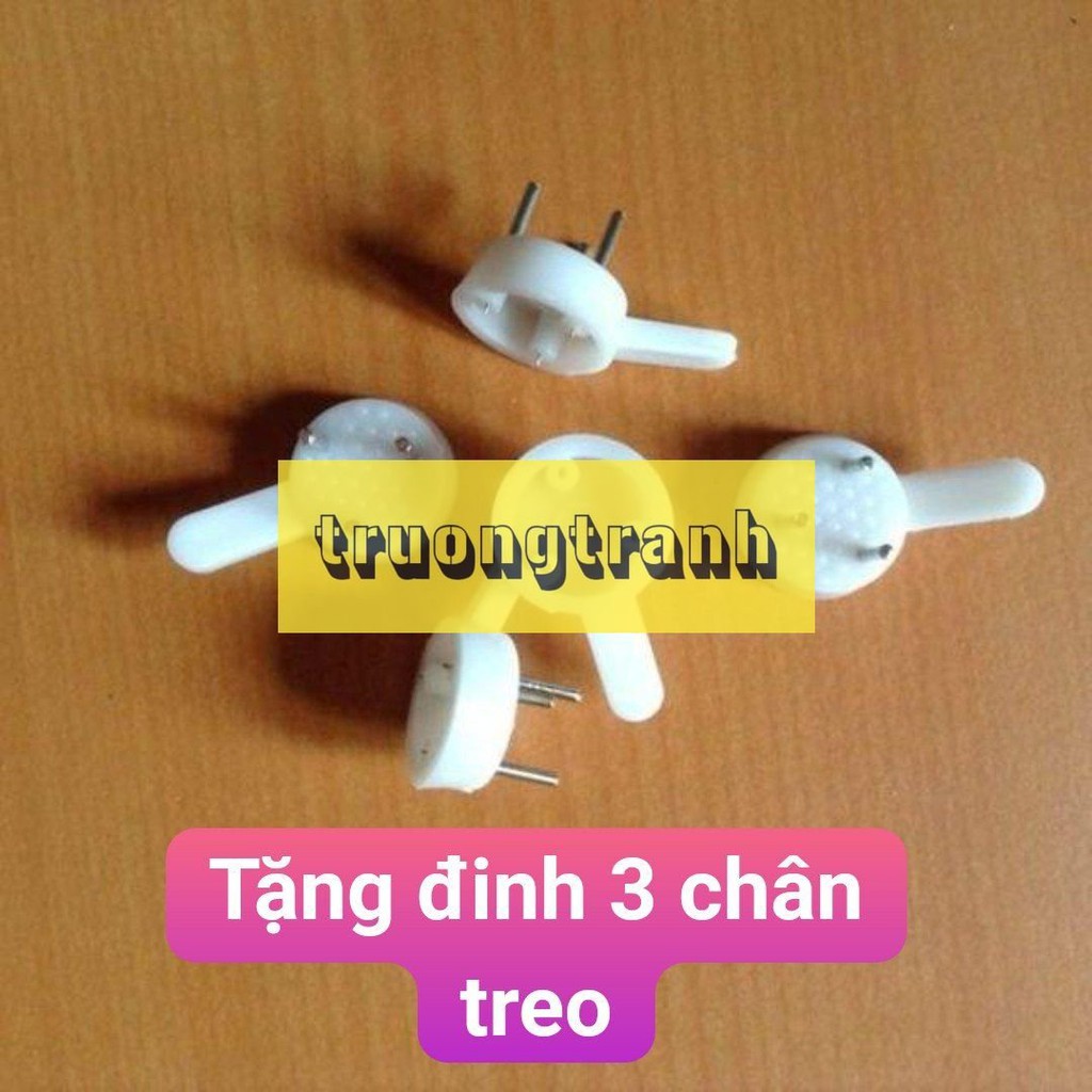 Set Bộ 5 tranh treo tường, bộ 6 tranh canvas trang trí hiện đại, tặng đinh 3 chân, không cần khoan tường