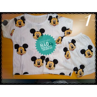Bộ quần áo cộc tay cotton giấy CHUI ĐẦU (cài cúc vai) cho bé trai/gái 6-16Kg Sam kids