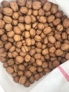 [NHẬP THUY2910 GIẢM 10K CHO ĐƠN 399K ] 250G ÓC CHÓ ĐỎ CÒN VỎ