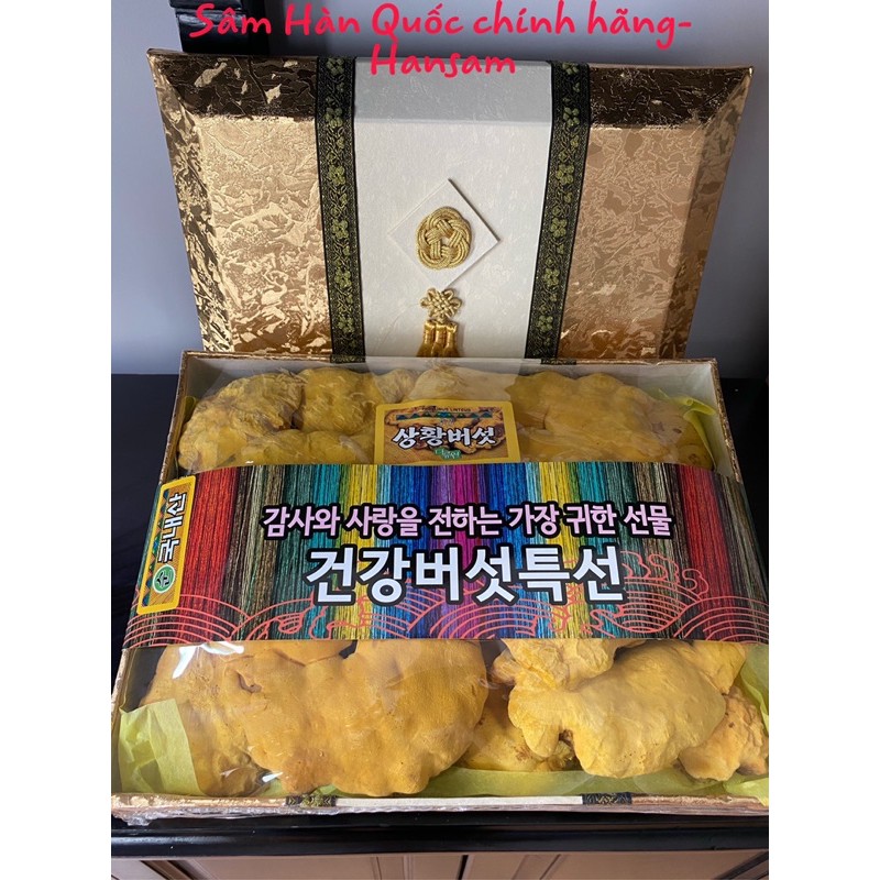 Nấm Thượng Hoàng Vàng Lá To Cao Cấp Hàn Quốc 500g/hộp | BigBuy360 - bigbuy360.vn