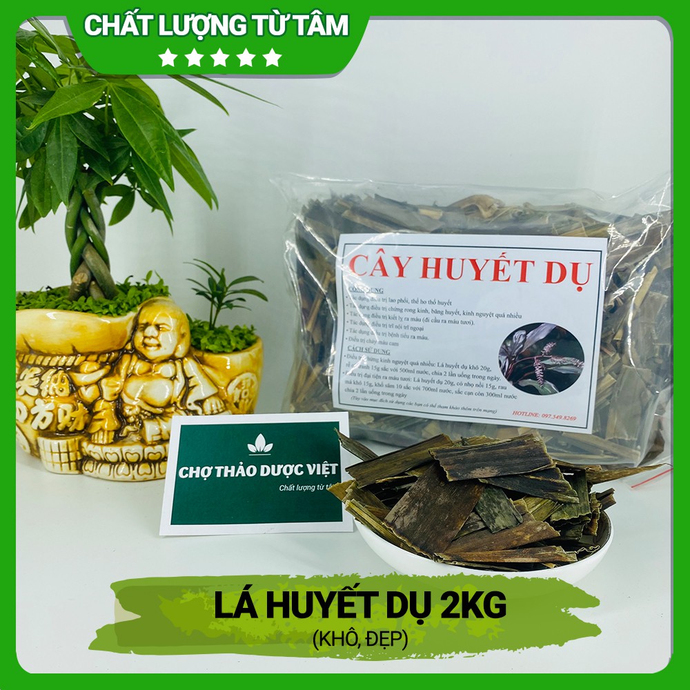 [Giá Sỉ] 2kg Lá Huyết Dụ (Khô, Sạch)