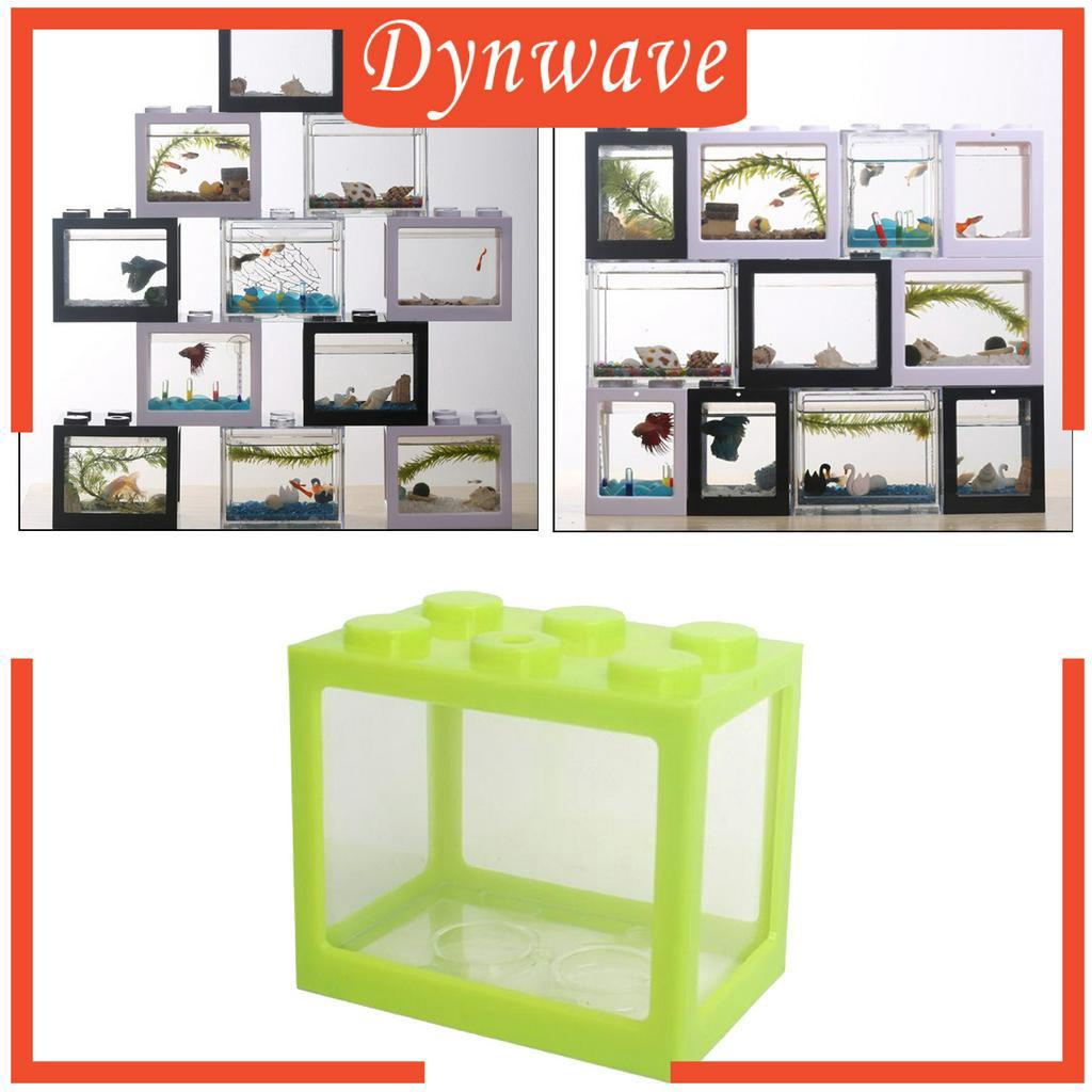 Bể cá mini cho cá Betta tiện dụng