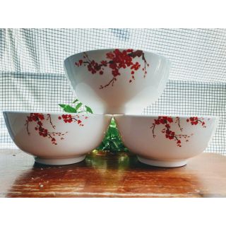 Bộ 2 Tô sứ trắng hình hoa đào 17cm