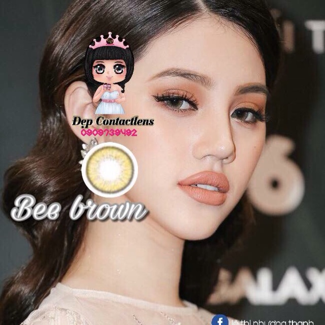 Lens vassen Bee brown