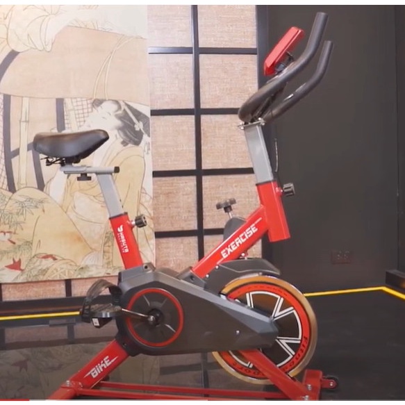 Xe đạp tập thể dục HASUTA HEB-802, giảm xóc tối đa, chống rung lắc, có đồng hồ hiển thị led