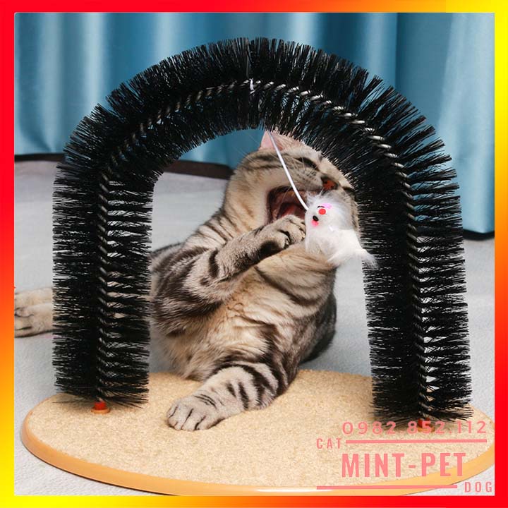 Đồ chơi vòm chui gãi ngứa cho mèo kèm chuột