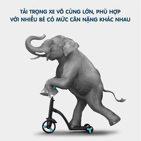 [GIÁ SIÊU RẺ] XE SCOOTER 5IN1 CHÍNH HÃNG NADLE