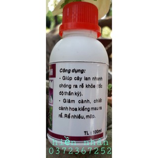 Siêu kích rể white roots