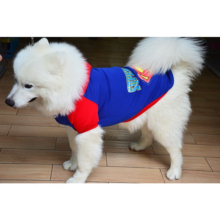 Áo cho chó lớn, đồ cho chó lớn mùa đông Superman nỉ hoddie