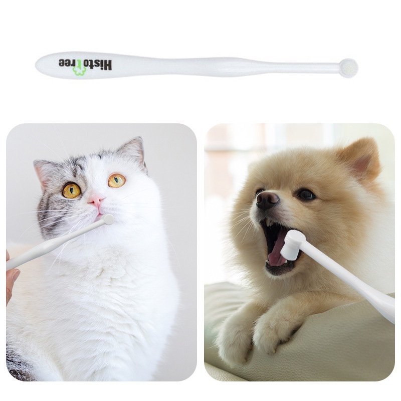 Bàn Chải Đánh Răng Chống Nứt Cho Thú Cưng