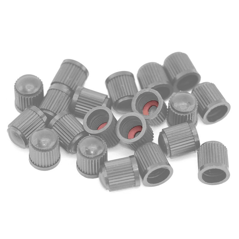 Bộ 100 Nắp Van Bánh Xe Chống Bụi Cho Xe Hơi Xe Máy