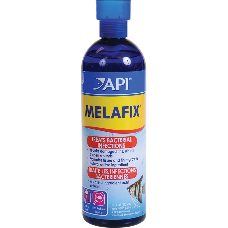 [473ML] API MELAFIX - XỬ LÝ NẤM & KHUẨN HẠI CHO CÁ CẢNH