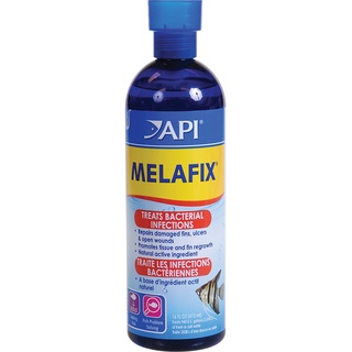 Api melafix - xử lý nấm & khuẩn hại cho cá cảnh