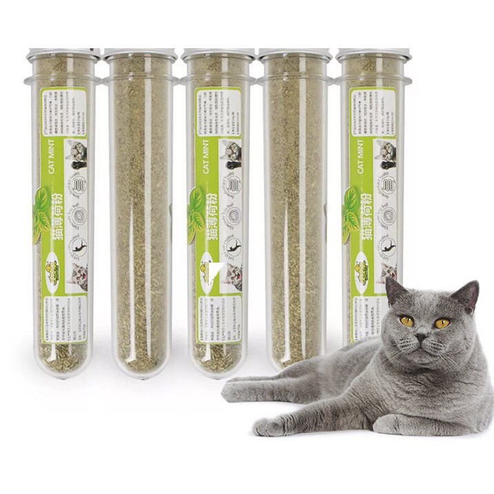 Cỏ mèo khô cỏ bạc hà Catnip cho mèo phê pha xua tan buồn chán