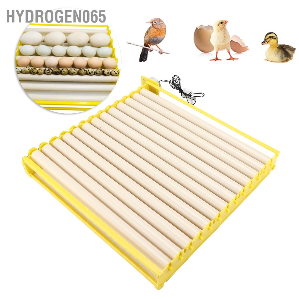 Khay ấp trứng hoàn toàn tự động hộ gia đình gà vịt Ngỗng cút Hydrogen065