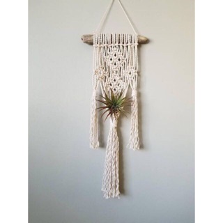Dây macrame dây treo cây không khí treo chậu hoa nhỏ