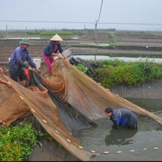 Lưới kéo cá dài 30m