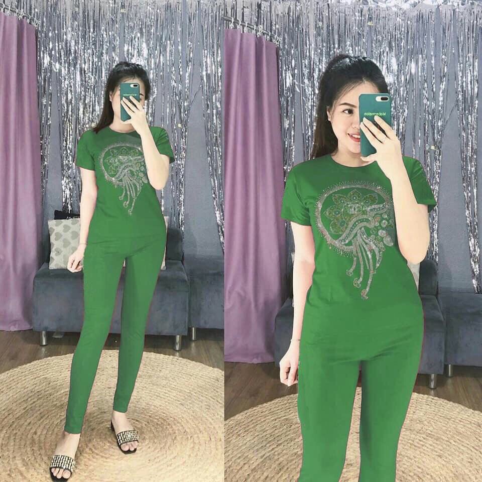Set đồ bộ dài mặc nhà thun cotton co giãn 4 chiều / có size XXL